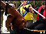 Crafty Craft Race (C) David Canning