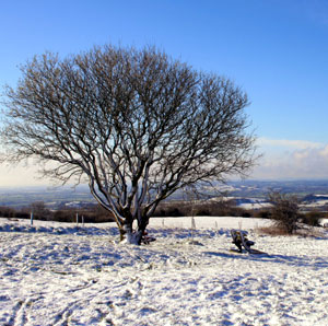 Winter scene on the Mendips at Priddy, Somerset (Photo: Geoff Dickson)