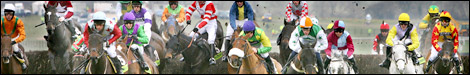 Racing at Cheltenham (courtesy of Getty images)