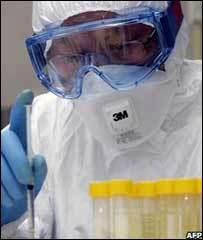 Свинячий грип