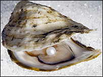 Oyster