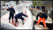 Whalers cut open a 35-tonne Fin whale caught off the coast of Iceland