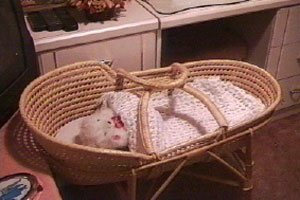 Sarbjit prepares the baby's room