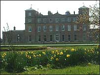 Langley School is opening for Daffodil Day.