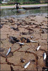 Một người đàn ông đánh cá 