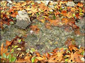 عکس از آيتای خرمی نژاد