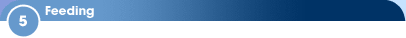 5 - Feeding