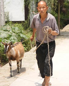 An old man with a goat.
