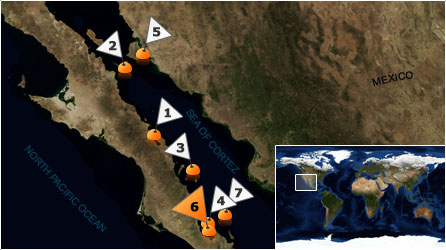 Dive map - Sea of Cortez - Site 6