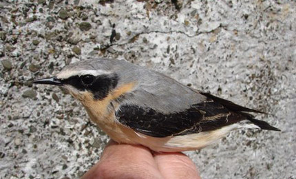 BBC Radio Foyle - Breathing Places Gallery