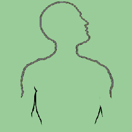 The Bones BBC World Service