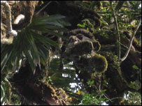 Foto: Cortesia Lisa Fabre