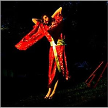 Review of Never Never Love Review of Never Never Love