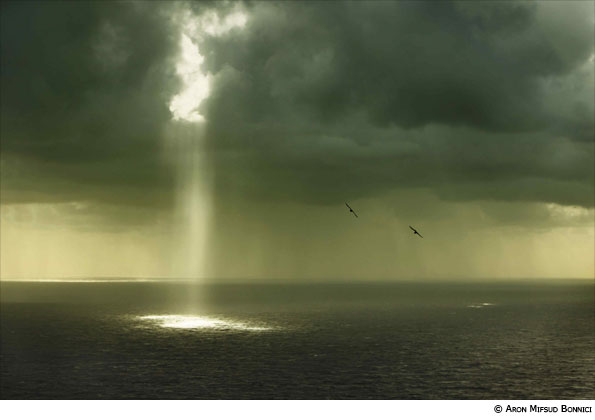 Photo by Aron Mifsud Bonnici