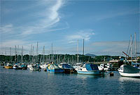 Harbwr Pwllheli (Martyn Croydon)