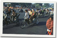 Delhi yr India