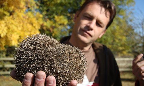 hedgehog-chris.jpg