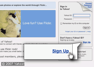 What's in this gallery