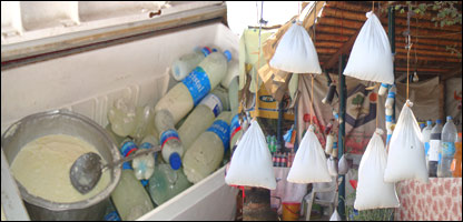 دلبنياتوساتل