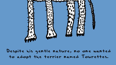 Doodle by Andre Jordan