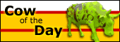 Cow of the Day