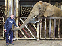 Tom Warmington and elephant