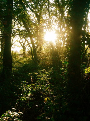 Reaching Into The Darkness