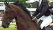 Horses and riders competing at the Royal Highland Show