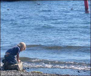 عکس از نويد خاجويی