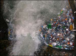 عکس از محمد رضا فاخری