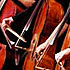 Double Basses