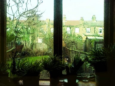 Beauty behind the weeds haha