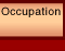 occupation