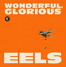 Review of Wonderful, Glorious Review of Wonderful, Glorious