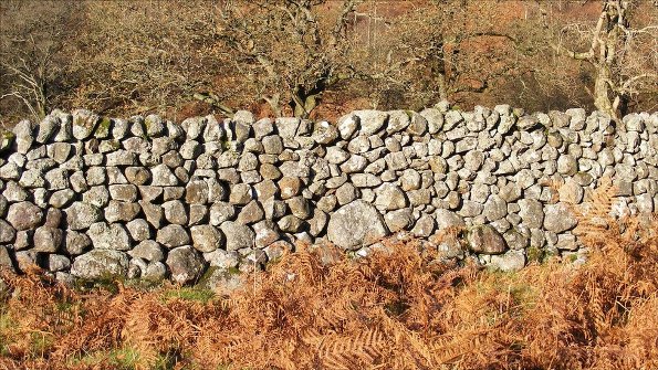 Photo by Graeme Hubbard