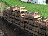 Potato planting in Jersey