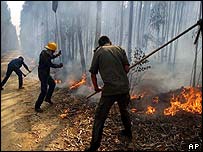 Incêndios florestais em Portugal