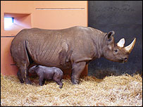 Sita and baby - photo by Jason Knight