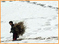 برف در افغانستان