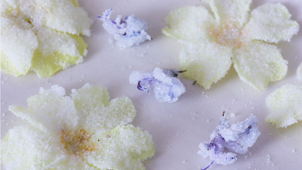 Crystallised rosemary and primrose flowers