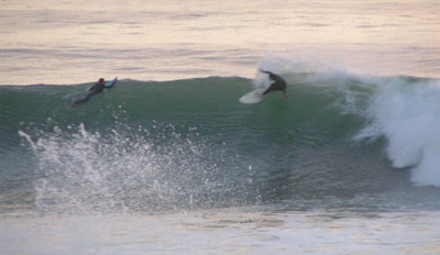 Cutback