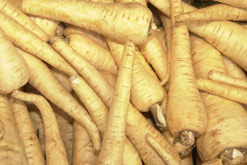parsnips