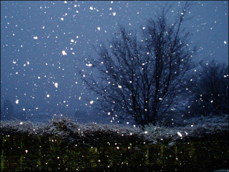 Snow in Crockerton