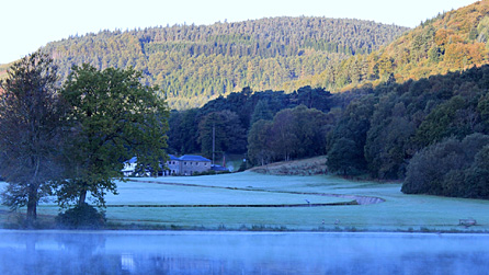 Rheola Lake by Mike Davies