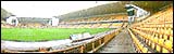 Molineux Stadium 3