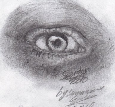 eye