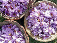 دکوکنارودکښت له منځه تلل