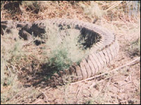 ہالیجی جھیل کے مگر مچھ