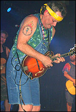 Hayseed Dixie (pic: Stu Gibson)