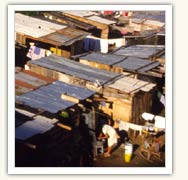 Mexican shanty